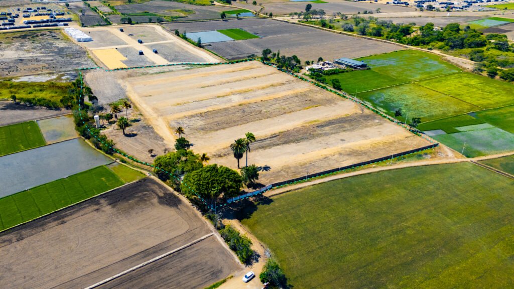Lotes 300 m2 para casa de campo en Brisas de Naylamp Lambayeque